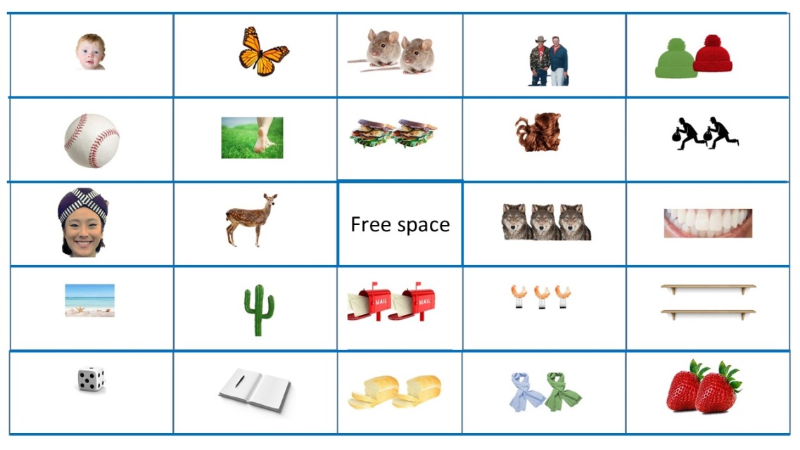 build-plurals-bingo-cards